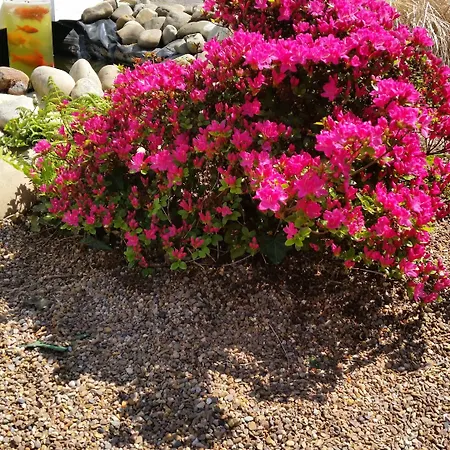 Hoxter Am Jakobsweg فندق 3*