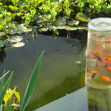 فندق Hoxter Am Jakobsweg