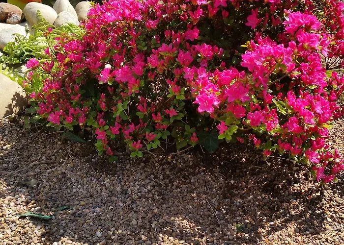 Hoxter Am Jakobsweg Hotel 3*