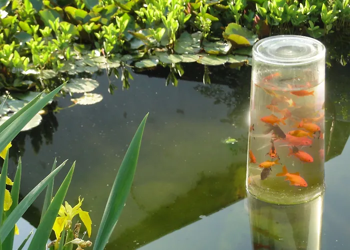 Hotel Hoxter Am Jakobsweg